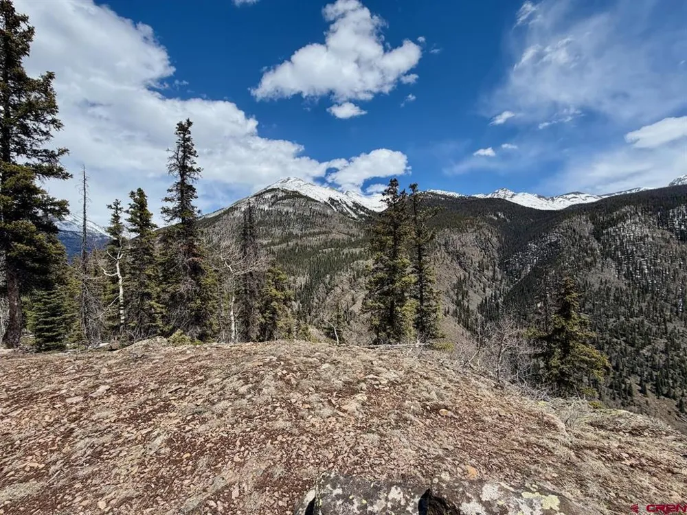 550 Highway Silverton, CO 81433