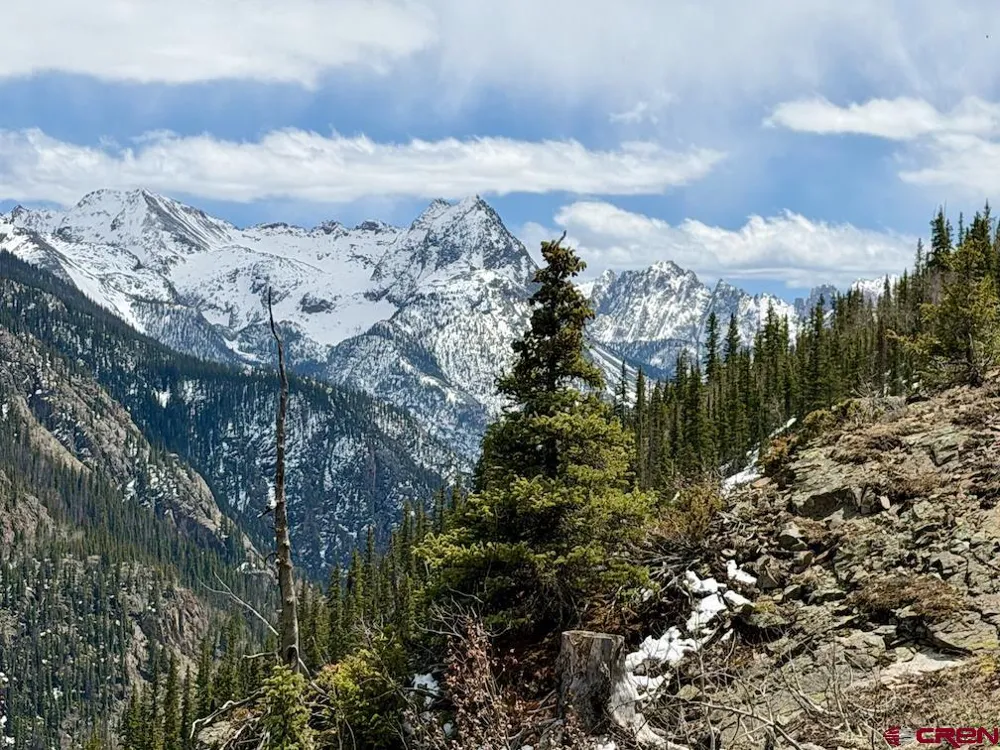 550 Highway Silverton, CO 81433