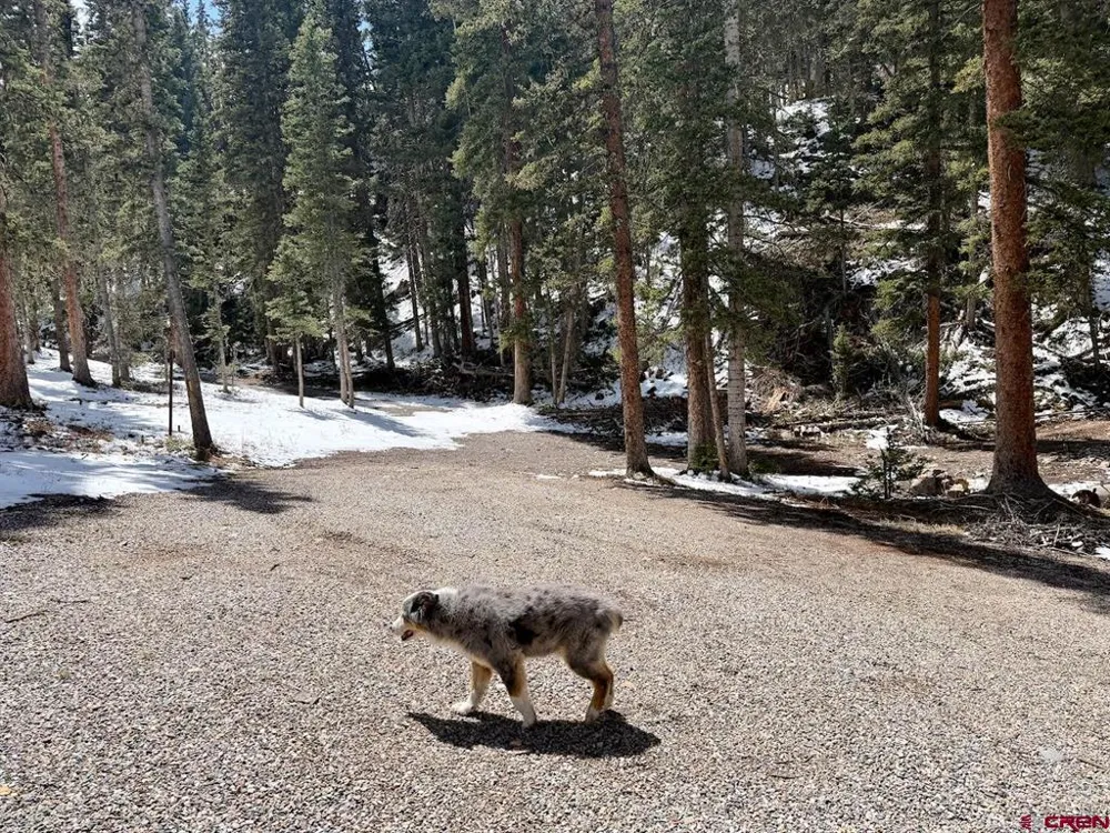 550 Highway Silverton, CO 81433