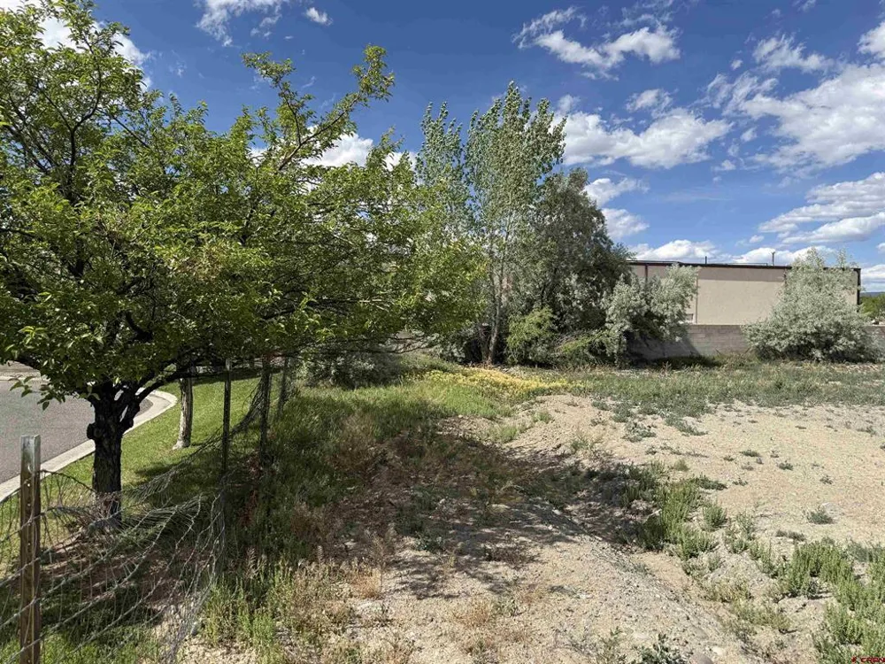 1595 E Oak Grove Road Montrose, CO 81401