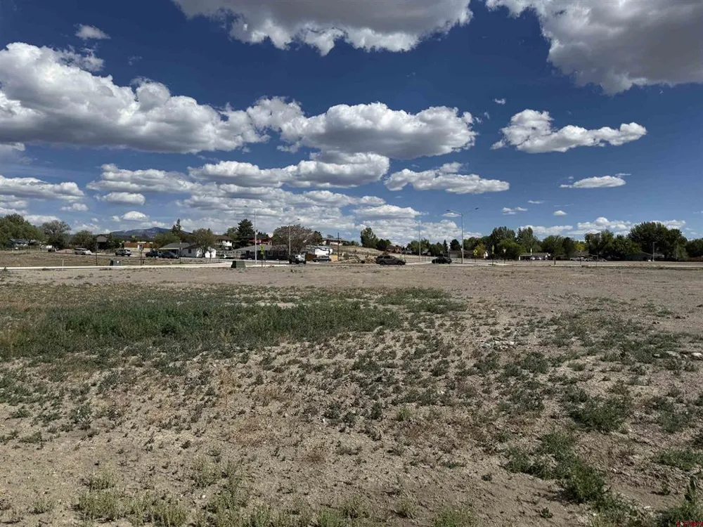1595 E Oak Grove Road Montrose, CO 81401
