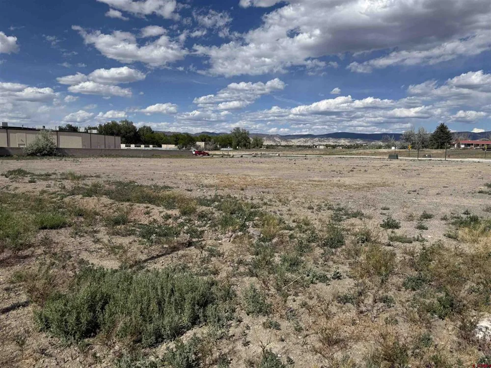 1595 E Oak Grove Road Montrose, CO 81401