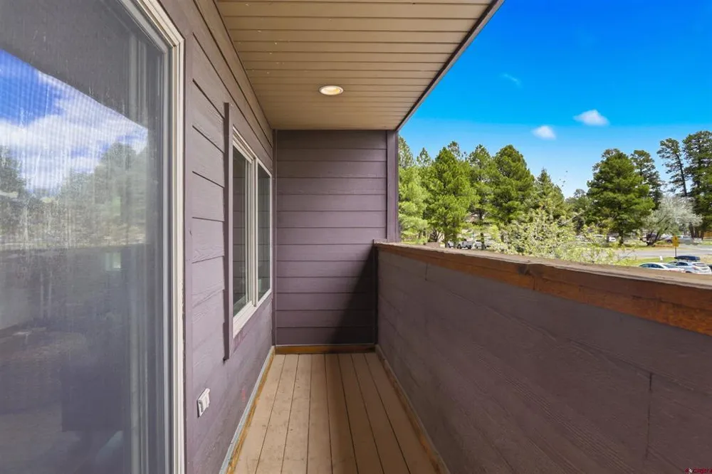191 Talisman Drive #205 Pagosa Springs, CO 81147