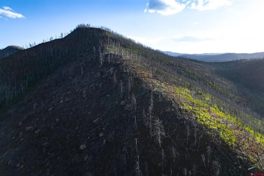 600 Acres La Veta, CO 81055