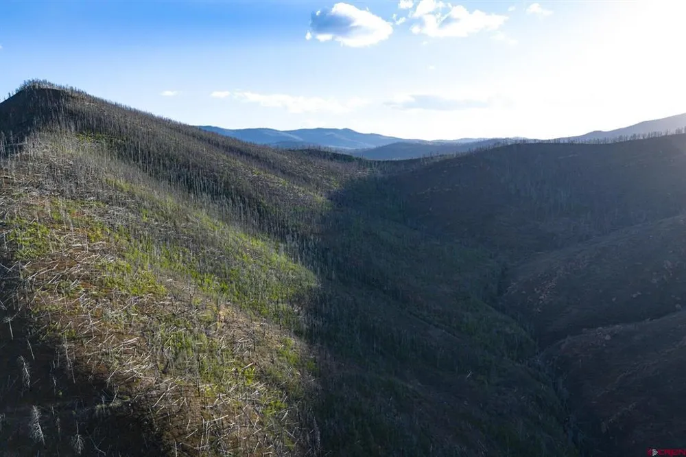 600 Acres La Veta, CO 81055