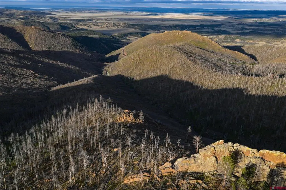 600 Acres La Veta, CO 81055