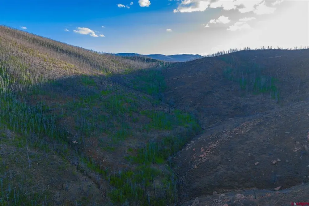 600 Acres La Veta, CO 81055