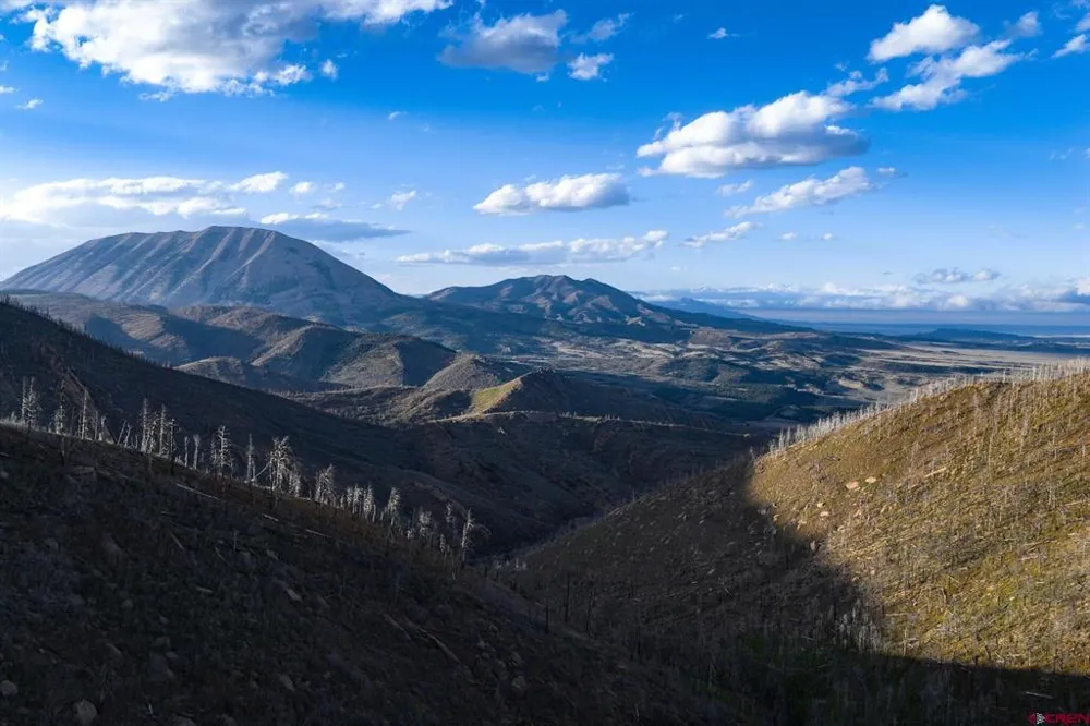 600 Acres La Veta, CO 81055