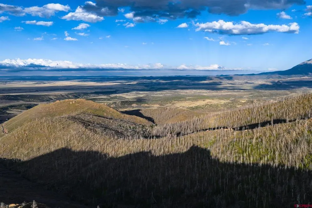 600 Acres La Veta, CO 81055