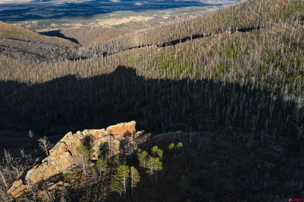 600 Acres La Veta, CO 81055