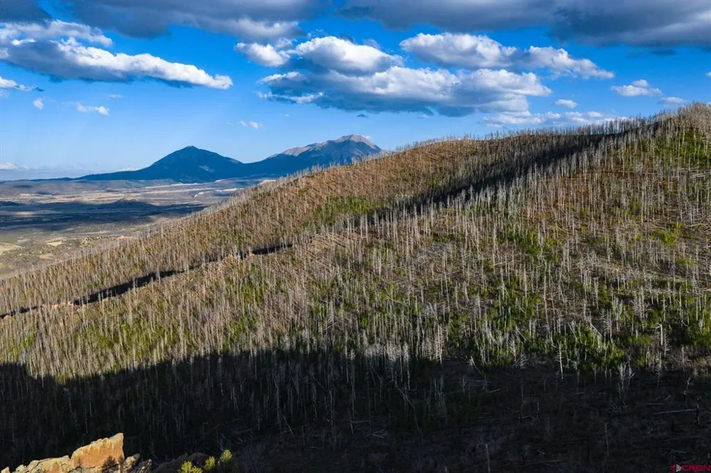 600 Acres La Veta, CO 81055
