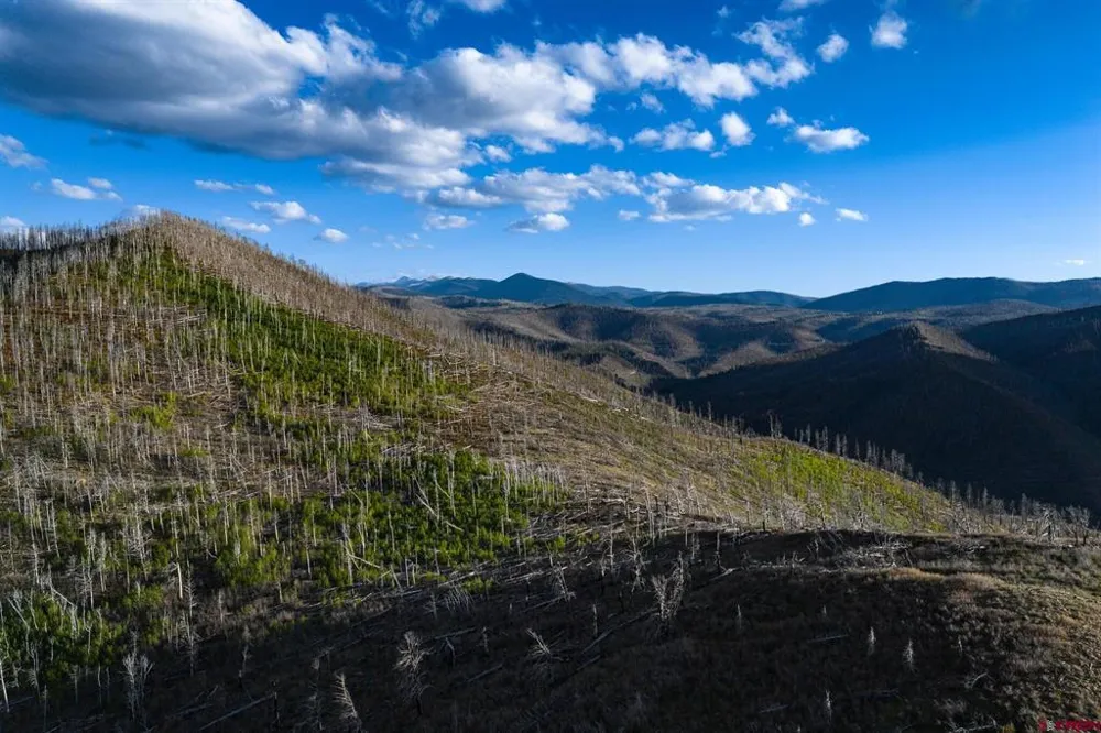 600 Acres La Veta, CO 81055