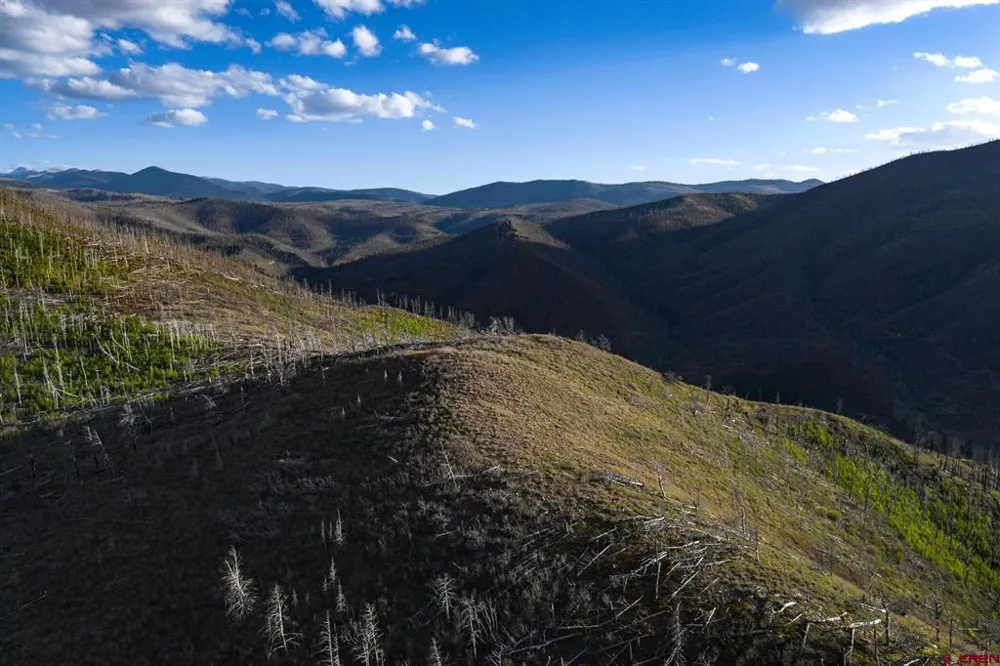 600 Acres La Veta, CO 81055