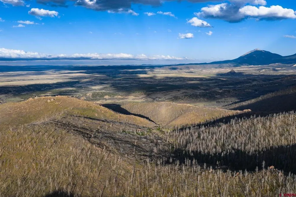 600 Acres La Veta, CO 81055
