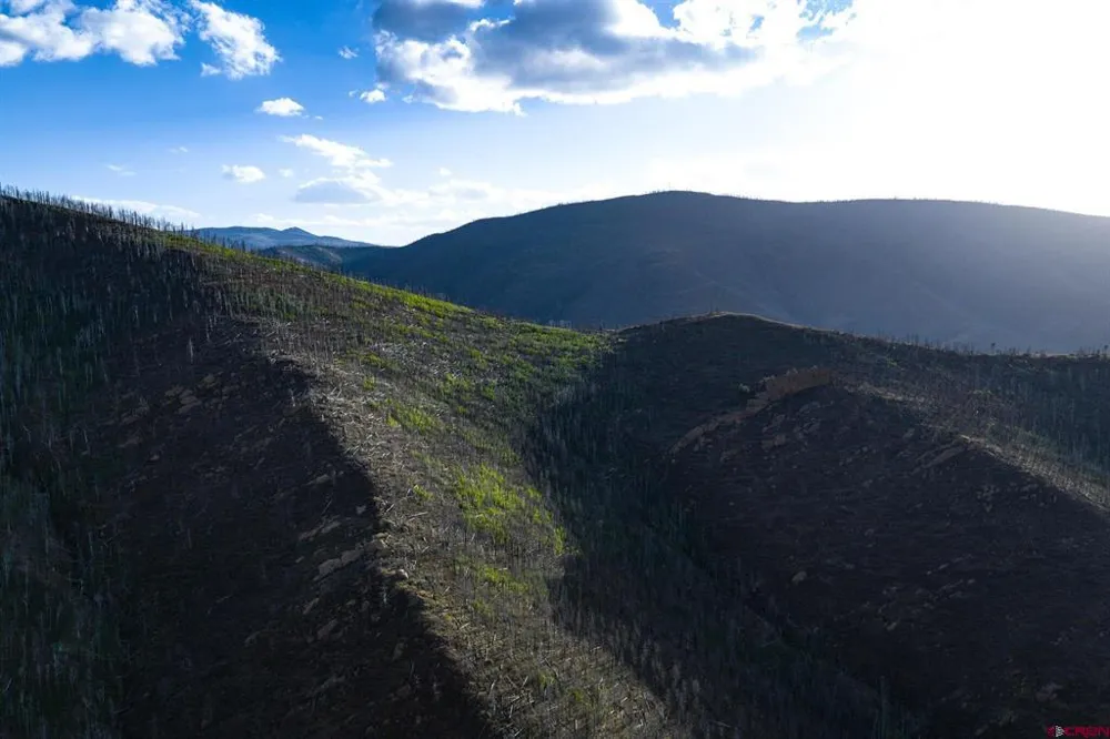 600 Acres La Veta, CO 81055