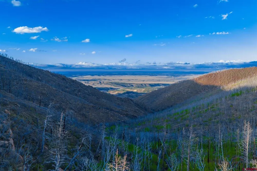 600 Acres La Veta, CO 81055