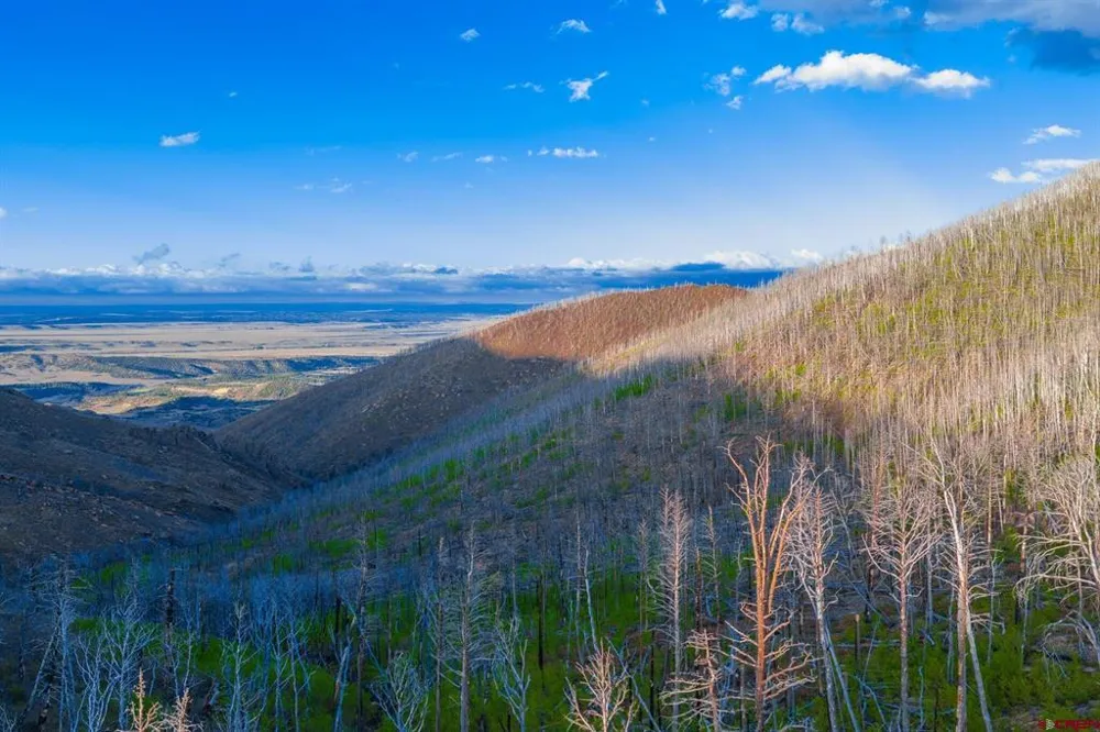 600 Acres La Veta, CO 81055