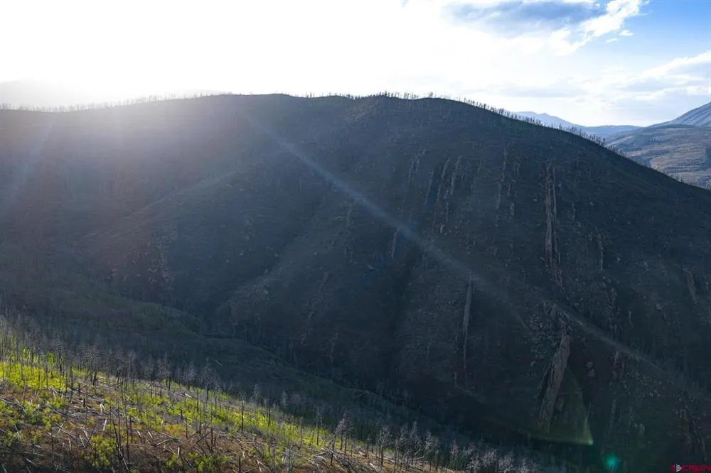 600 Acres La Veta, CO 81055