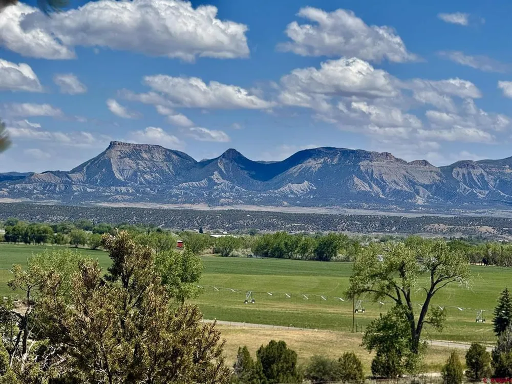 27255 Road P Dolores, CO 81323