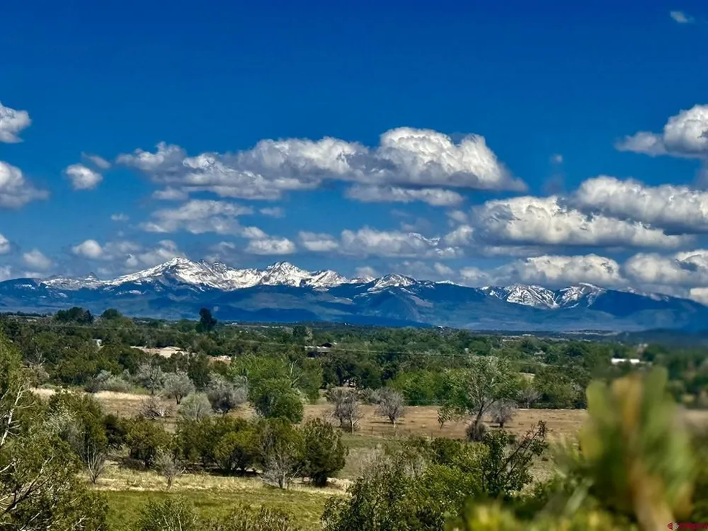 27255 Road P Dolores, CO 81323