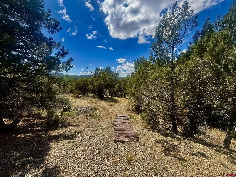 27255 Road P Dolores, CO 81323