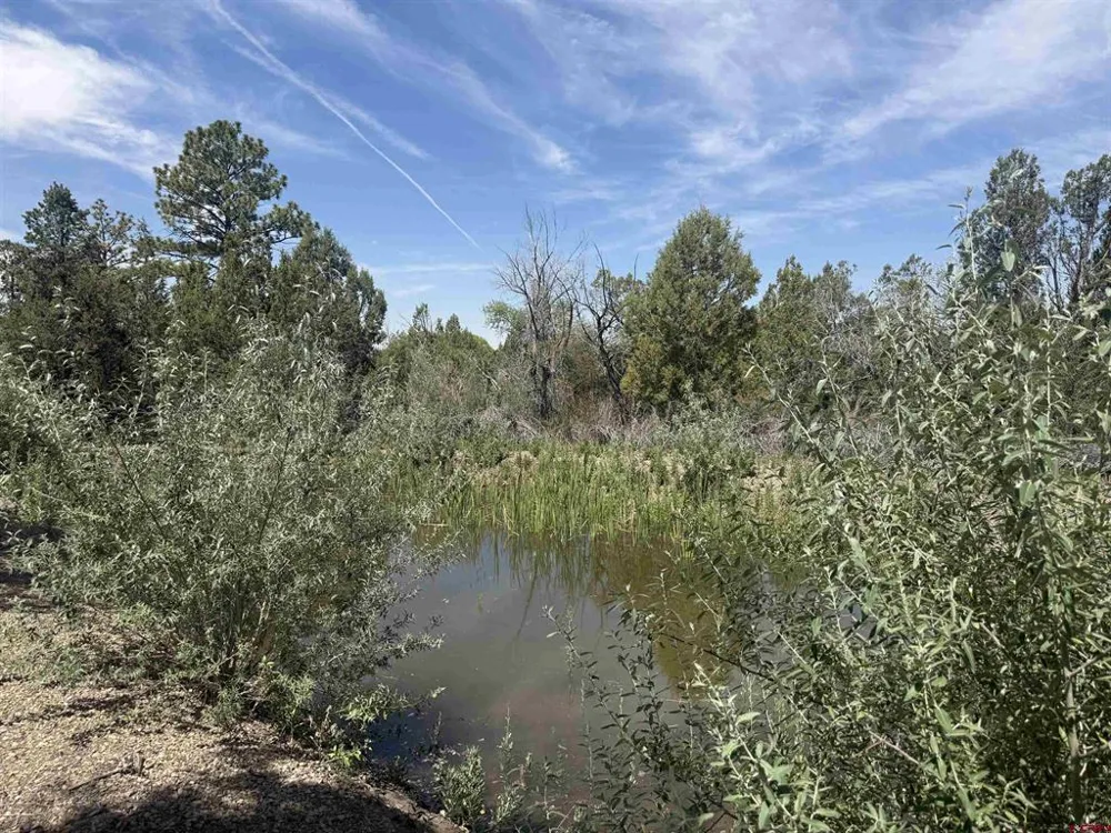 27255 Road P Dolores, CO 81323