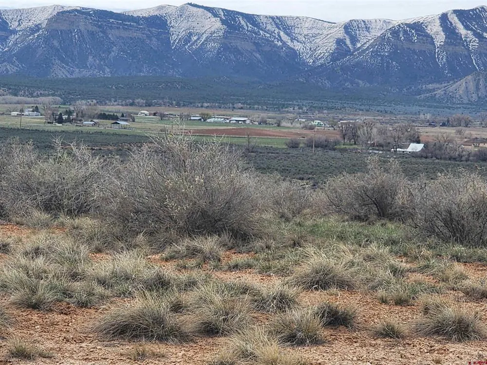 Jennings Drive Cortez, CO 81321