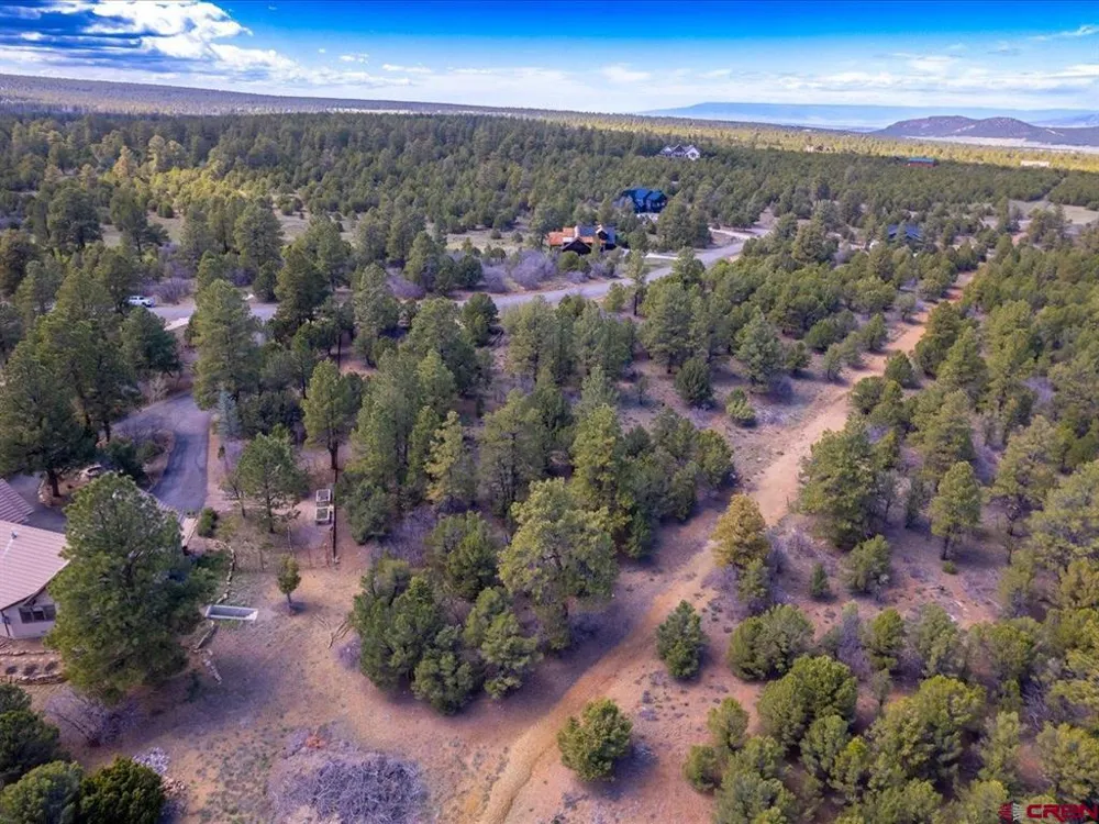 556 Badger Trail N. Ridgway, CO 81432