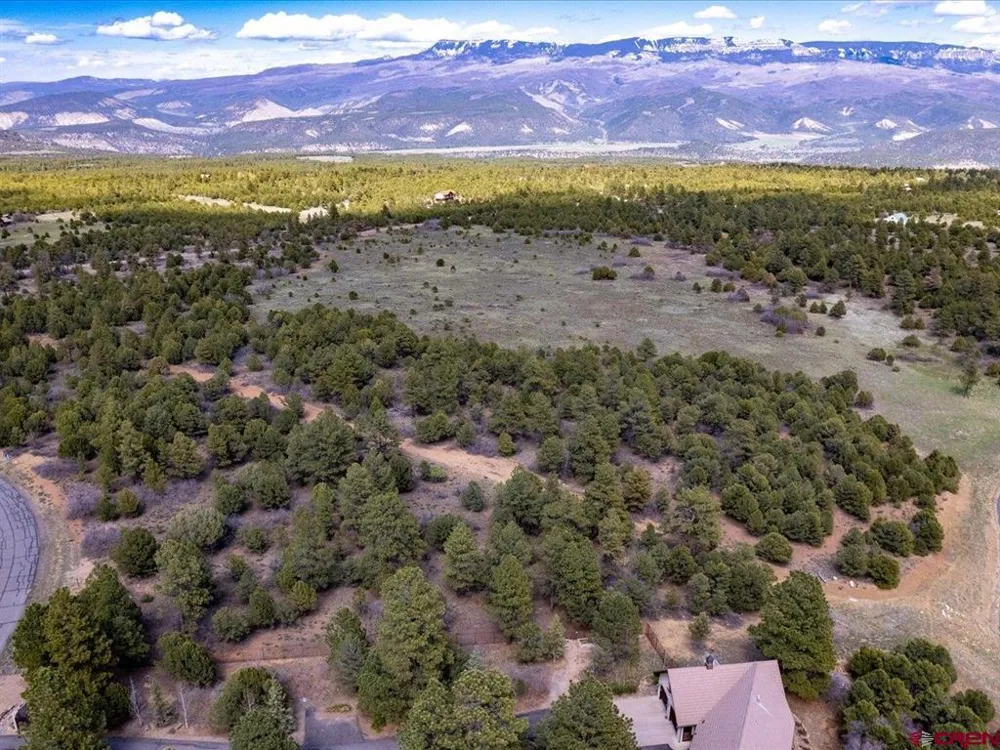 556 Badger Trail N. Ridgway, CO 81432