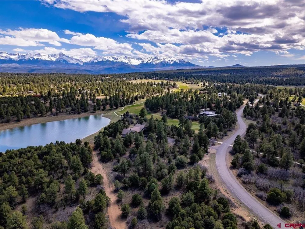 556 Badger Trail N. Ridgway, CO 81432