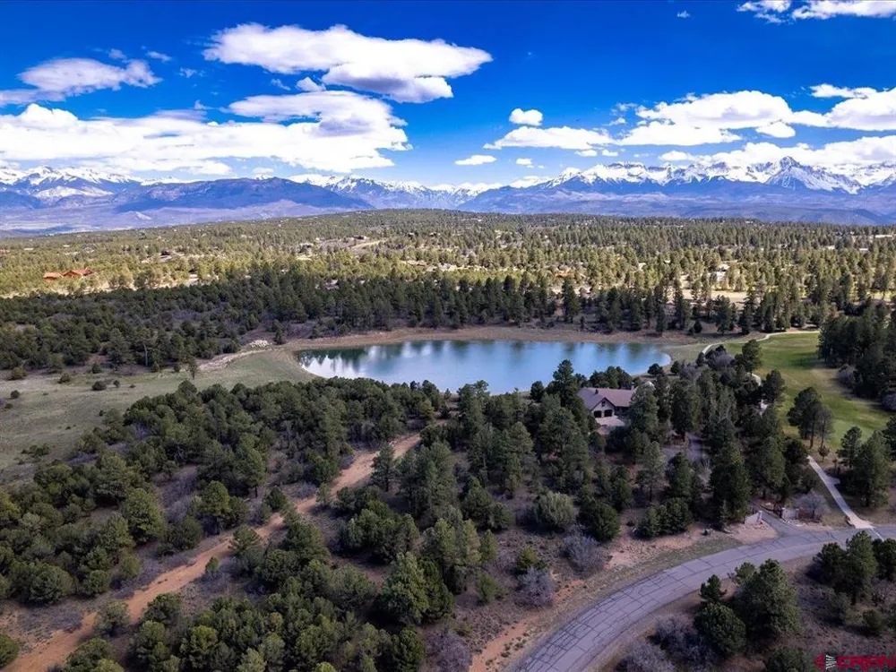 556 Badger Trail N. Ridgway, CO 81432