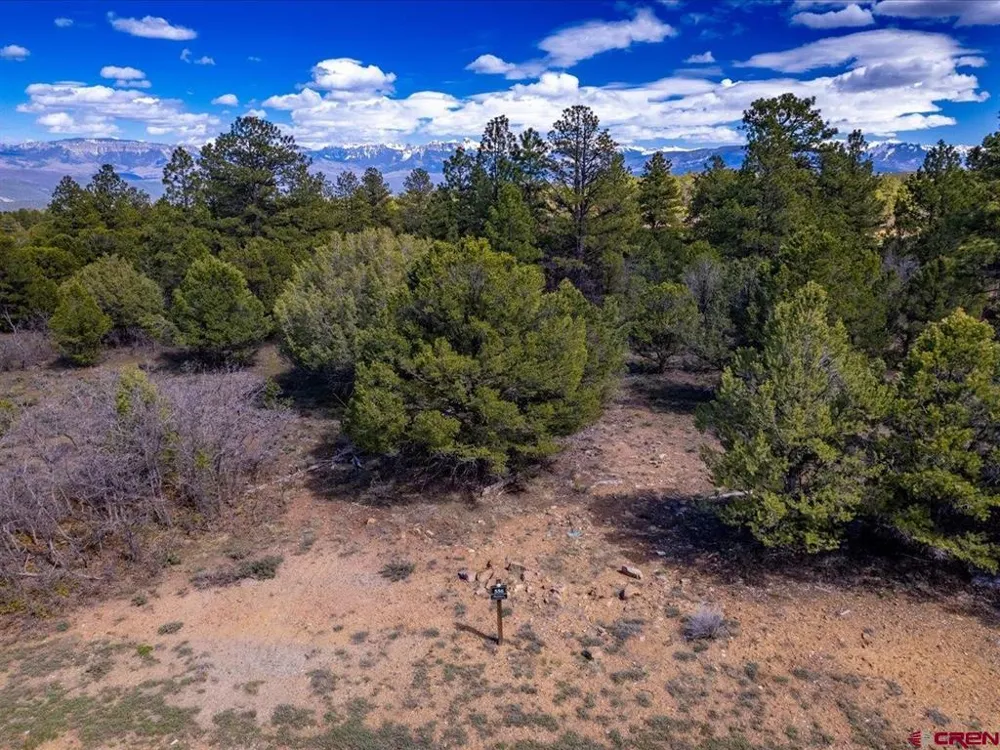 556 Badger Trail N. Ridgway, CO 81432