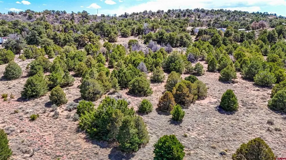 79 Navajo Ranch Resorts Walsenburg, CO 81089