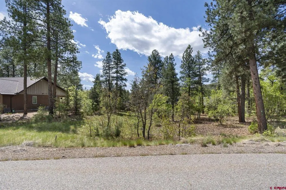 47 Needle Creek Court Durango, CO 81301