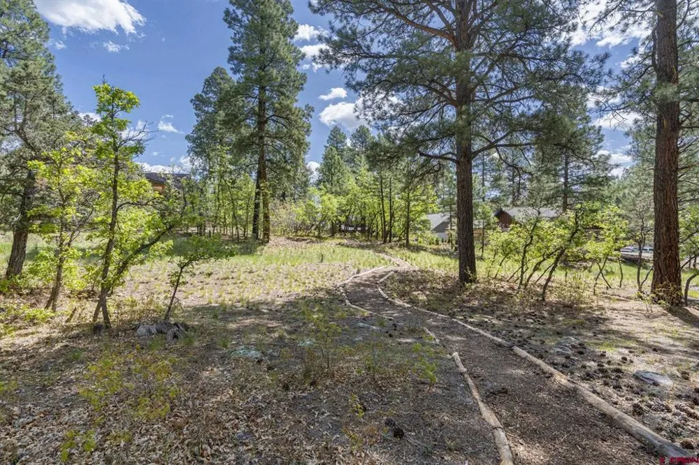 47 Needle Creek Court Durango, CO 81301