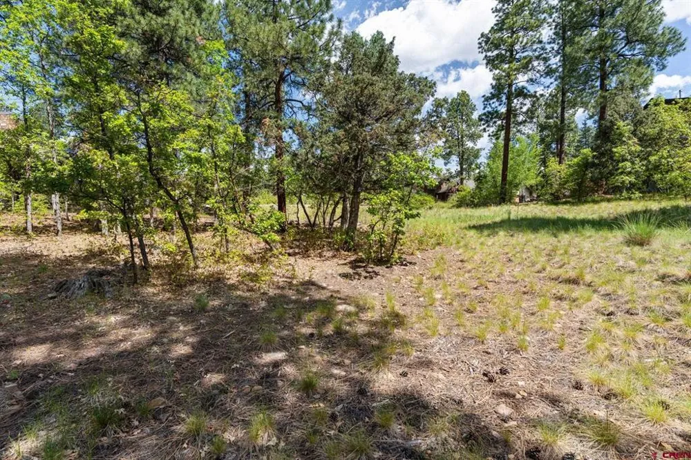 47 Needle Creek Court Durango, CO 81301
