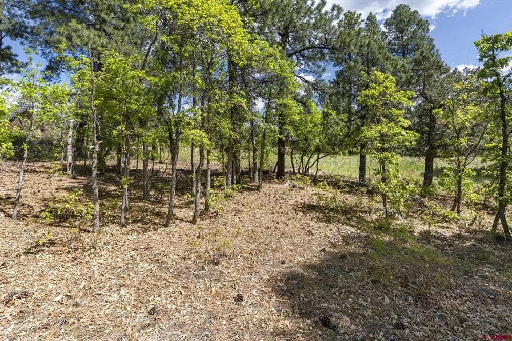 47 Needle Creek Court Durango, CO 81301