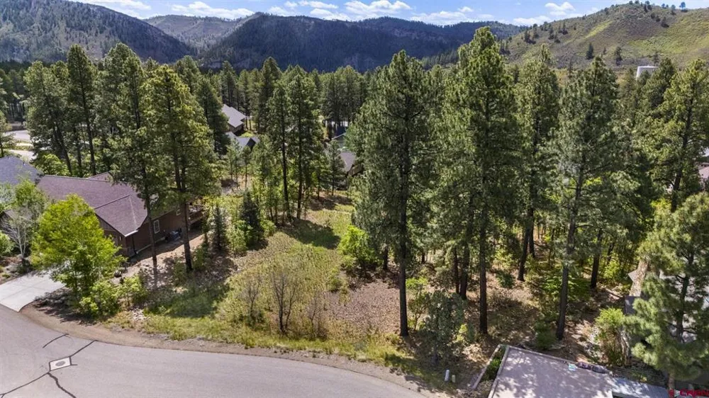 47 Needle Creek Court Durango, CO 81301
