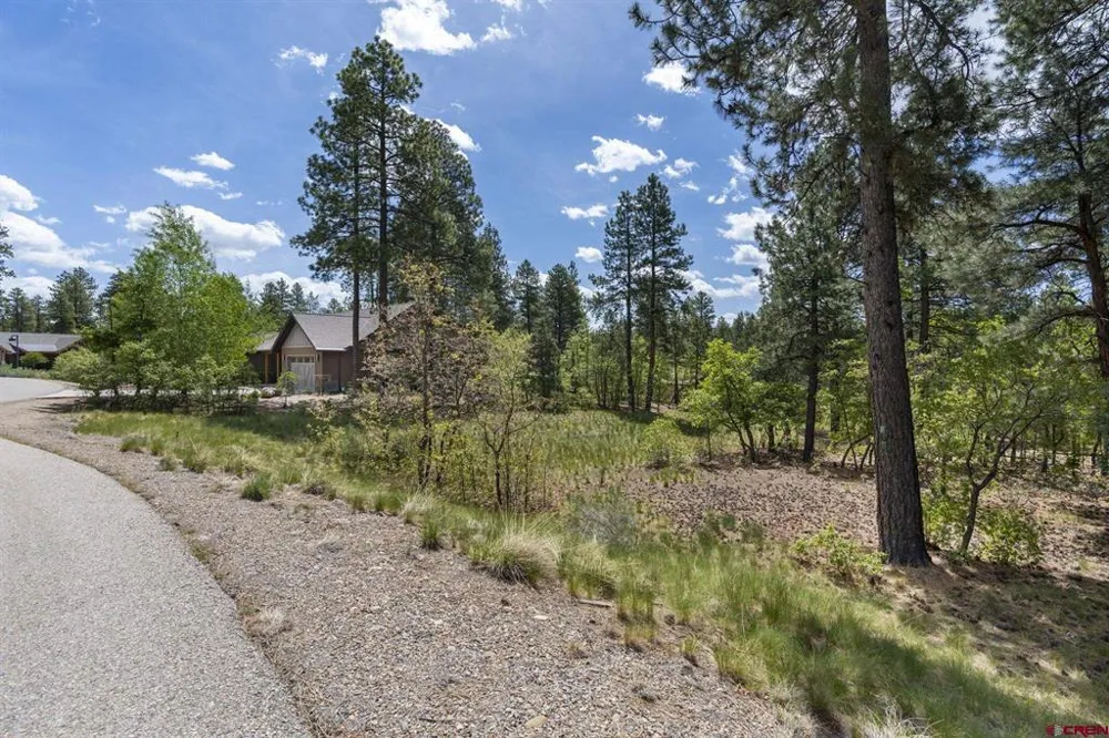 47 Needle Creek Court Durango, CO 81301