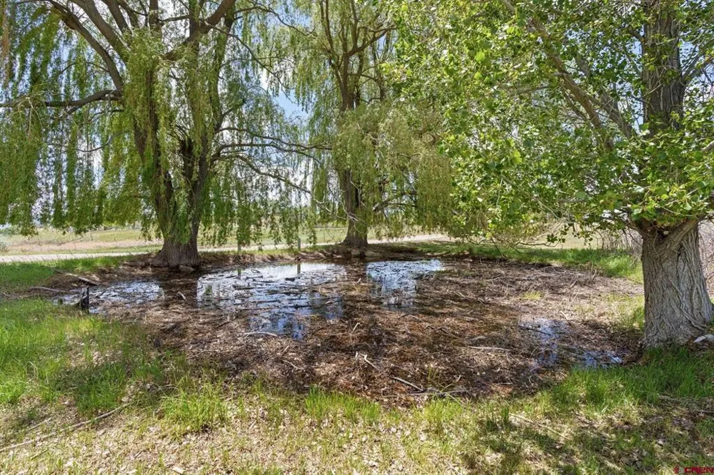 17182 Road 25 Dolores, CO 81323