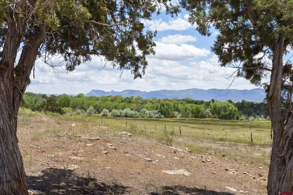17182 Road 25 Dolores, CO 81323