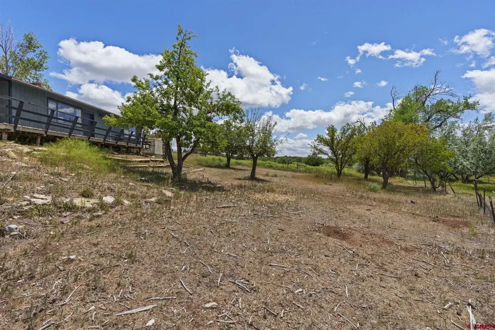 17182 Road 25 Dolores, CO 81323