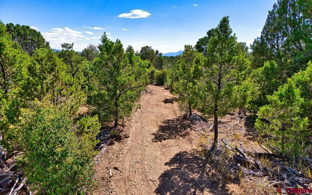 14466 Road 32.1 Mancos, CO 81328