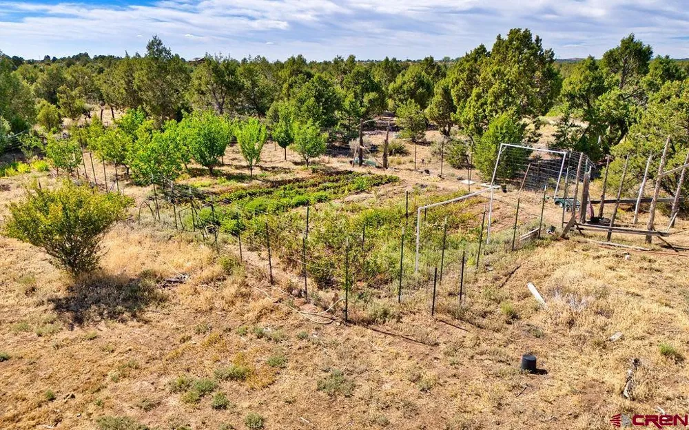 14466 Road 32.1 Mancos, CO 81328