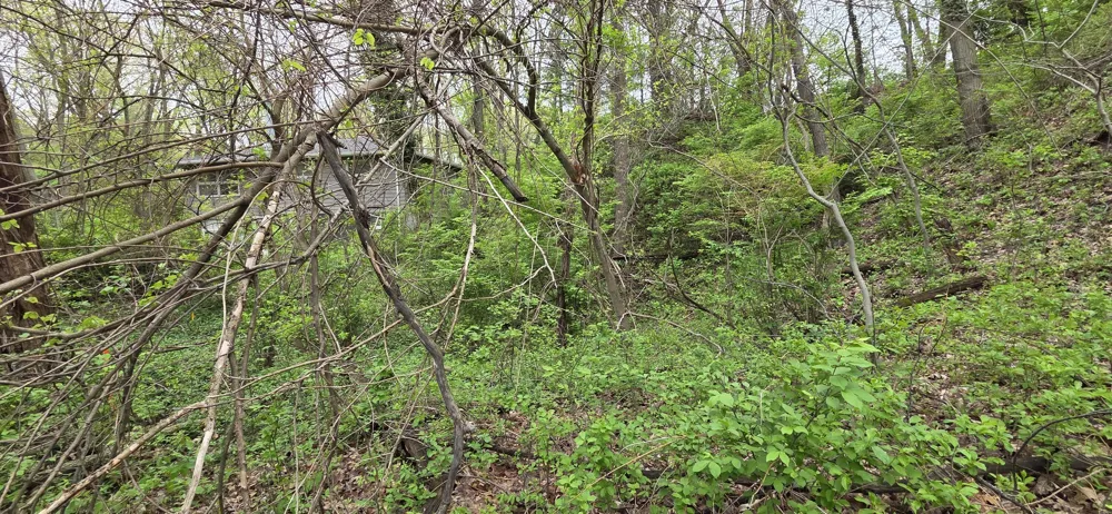 1068 Warrick Street Gary, IN 46403