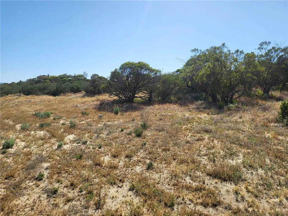 887 Forest Springs Road Aguanga, CA 92536