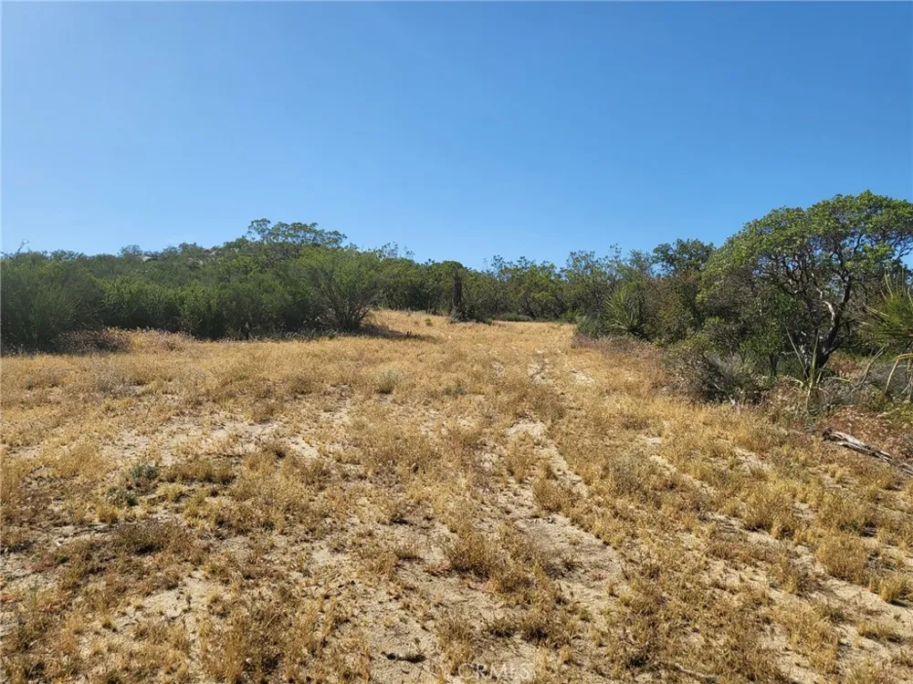 887 Forest Springs Road Aguanga, CA 92536