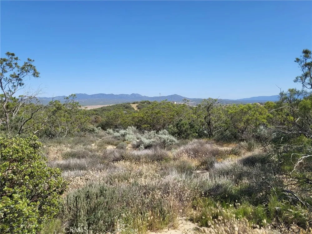887 Forest Springs Road Aguanga, CA 92536