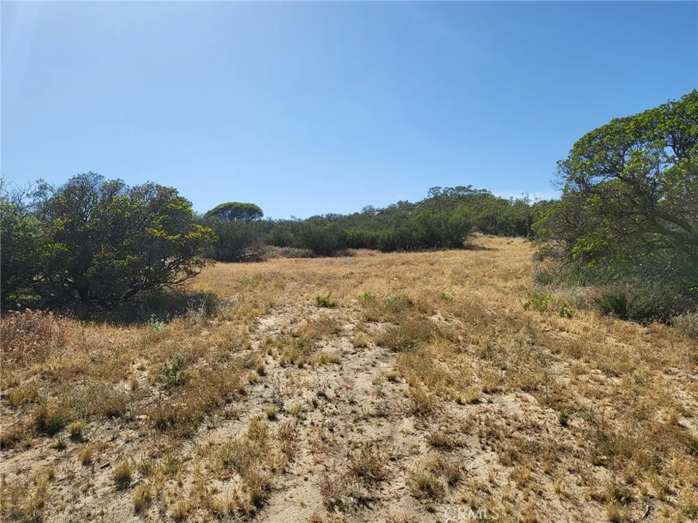 887 Forest Springs Road Aguanga, CA 92536