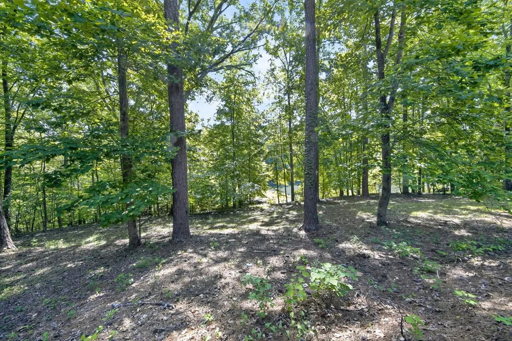 426 Northlake Drive Cataula, GA 31804